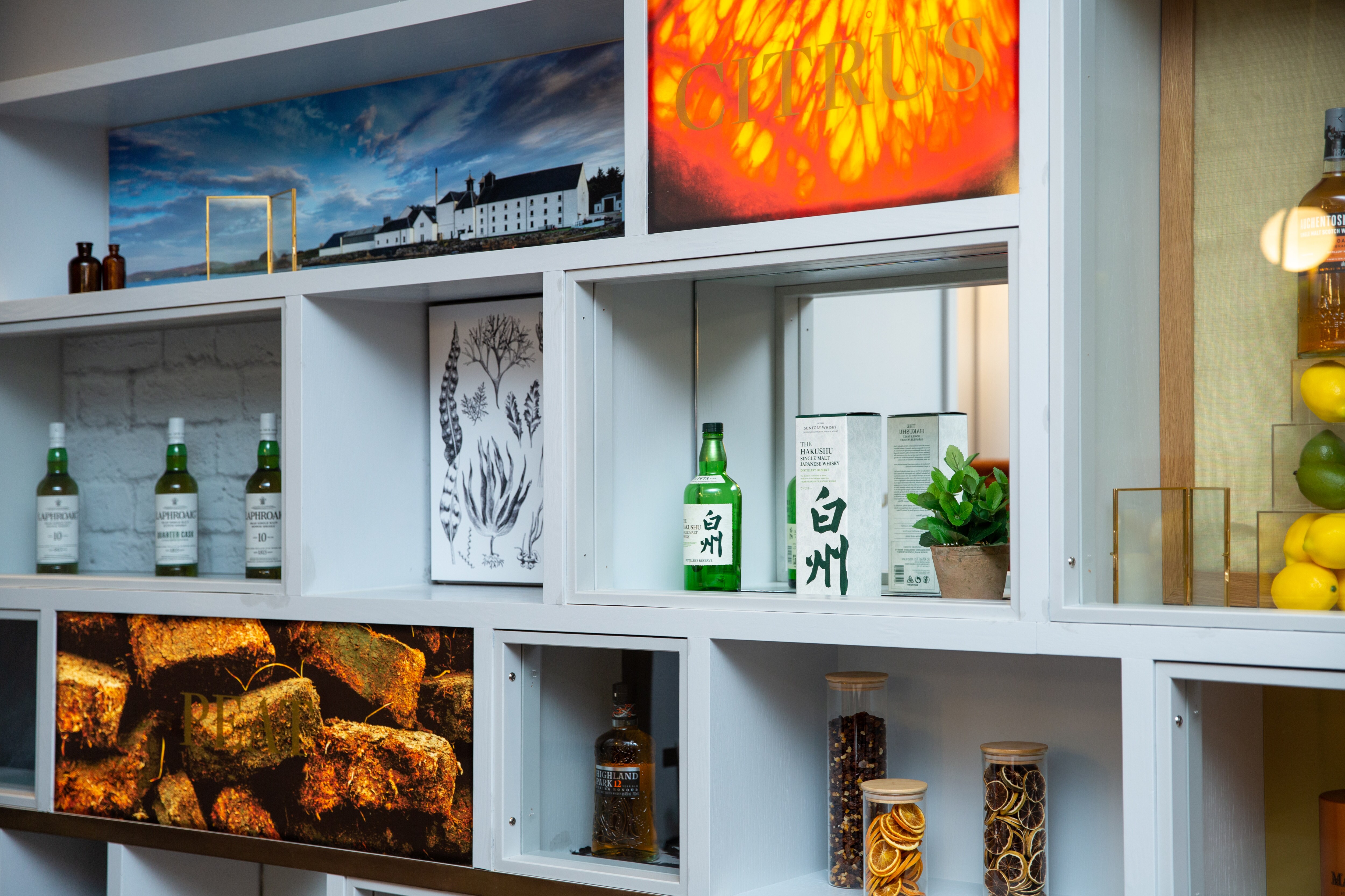 Exhibidor de pared del bar Whisky Mist